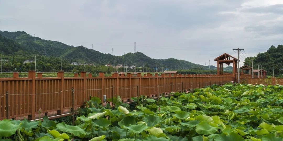 新登镇上山村图片