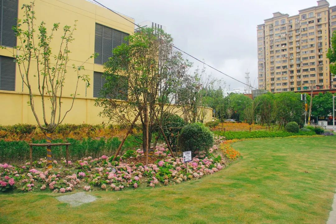 这个镇新增4处缤纷街角绿地,快来看看吧!
