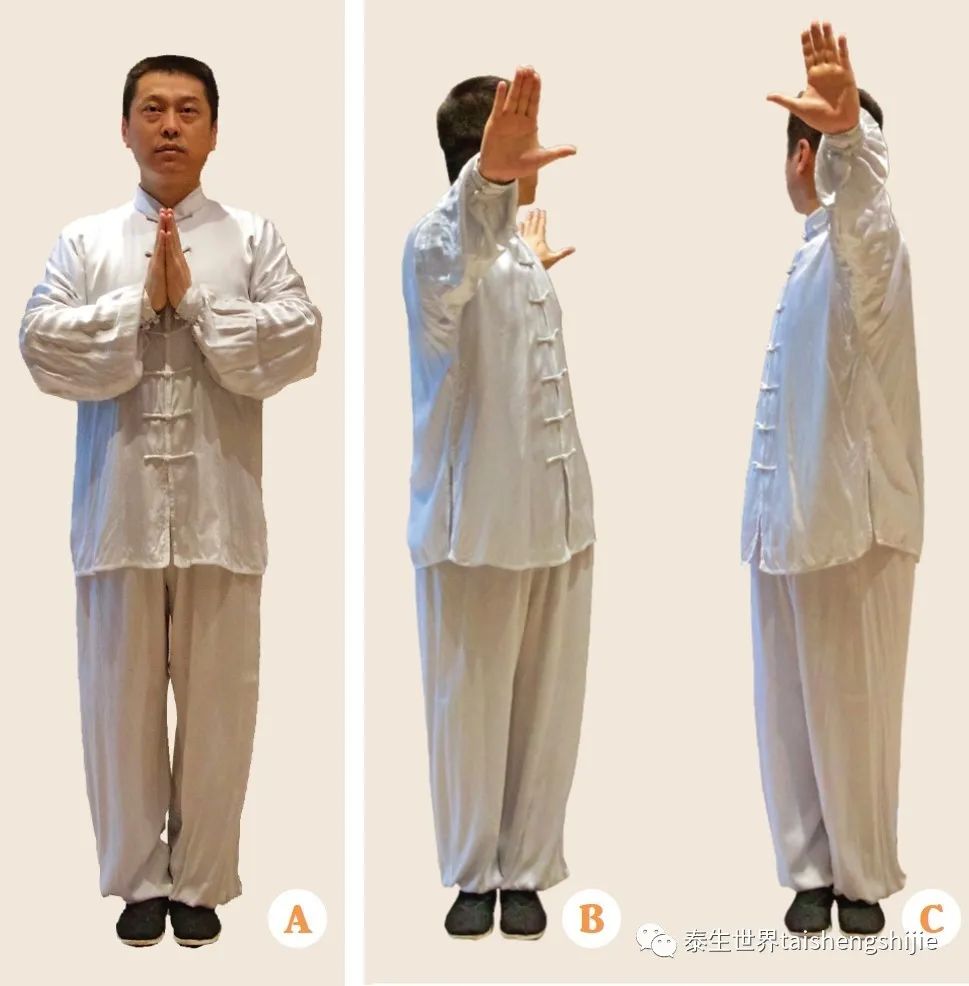 直立姿势,两手合于胸前,手指向上呈立掌(a);身体左转,两手分开向左右