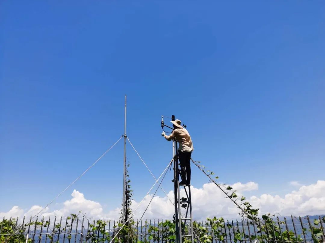 广西玉林市气象局地面站工作人员赶在台风来临前,对观测设备进行加固.