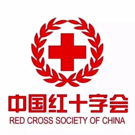 纪实中国首批援助意大利抗疫医疗专家组成员秦小利在西华师大分享赴