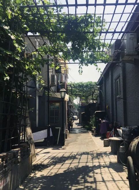 六月的北京在胡同里找夏天