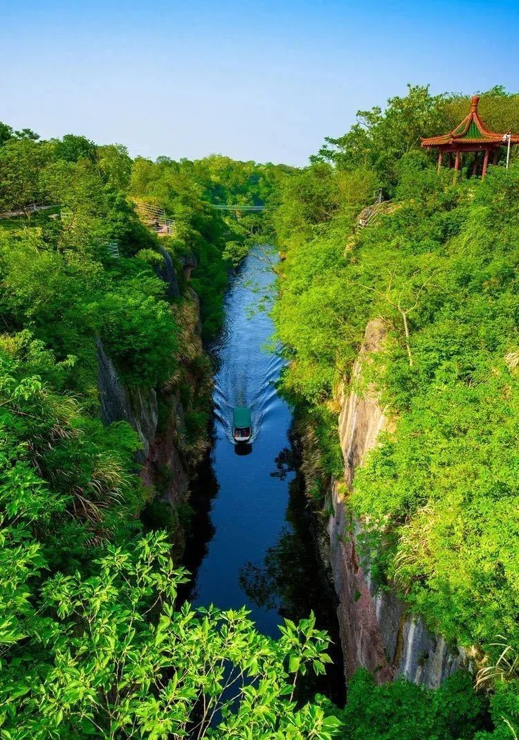 溧水夏日鮮果採摘全攻略你想要的採摘線路這兒都有