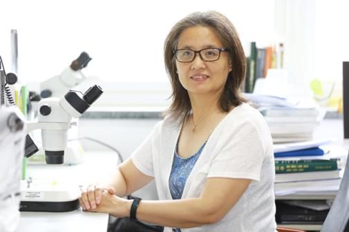 课程思政启育记中国农大刘志琦积微成著从发掘小单元中的多个课程思政