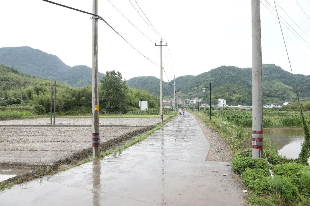 龙门镇 乡贤助力 建设 四好 农村路