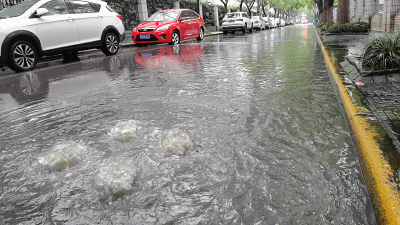 暴雨如注嘉定多部门合力维护城市安全有序运行雨天出行需注意