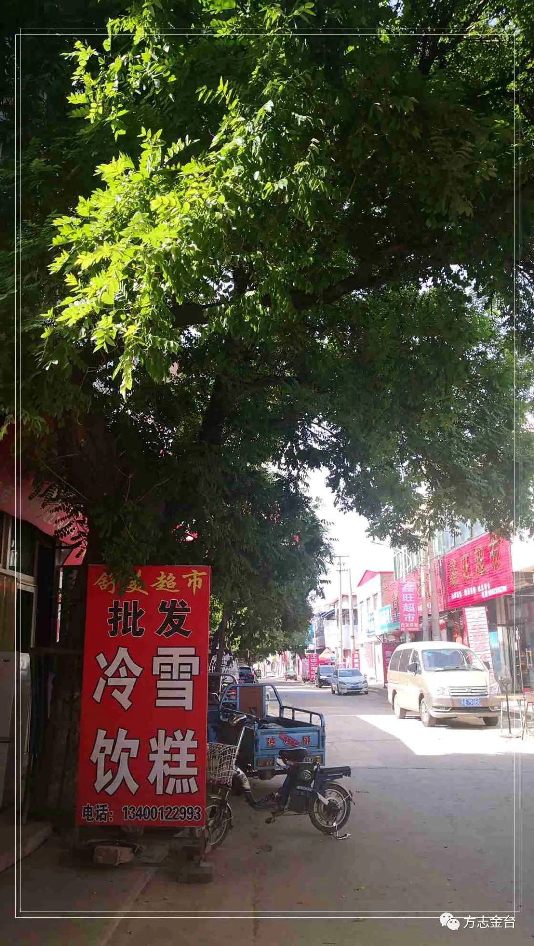 图说定兴姚村一百单八槐