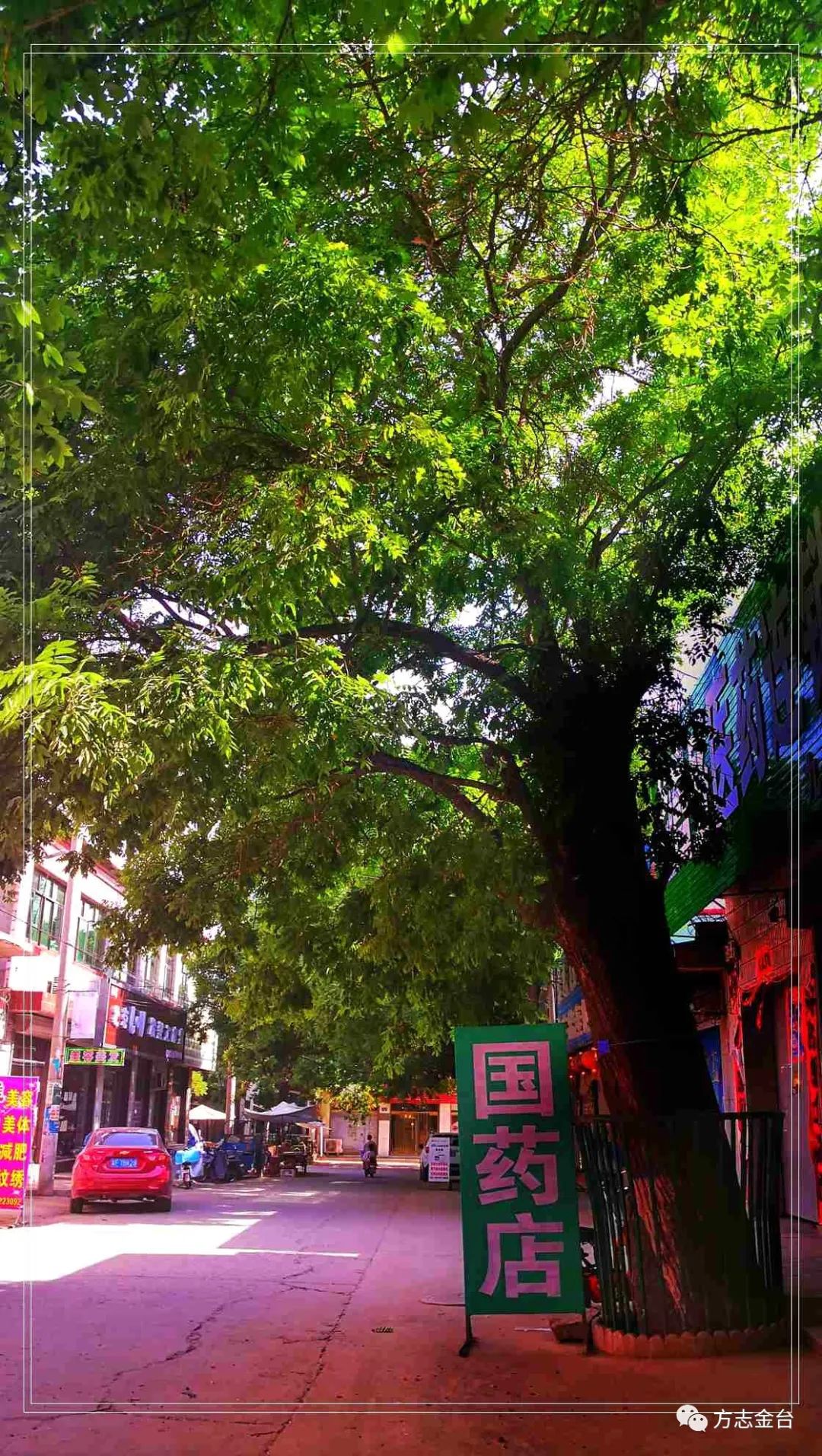 图说定兴姚村一百单八槐