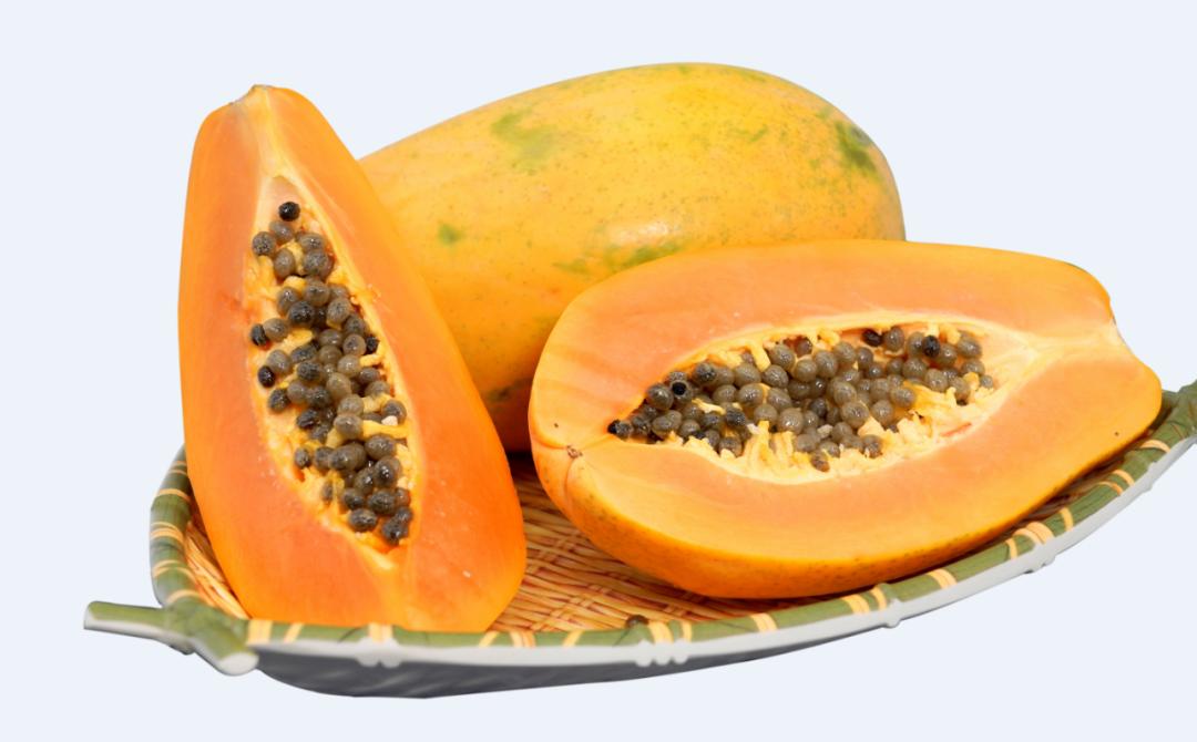 木瓜成熟了!山西农谷南果北种试验成功