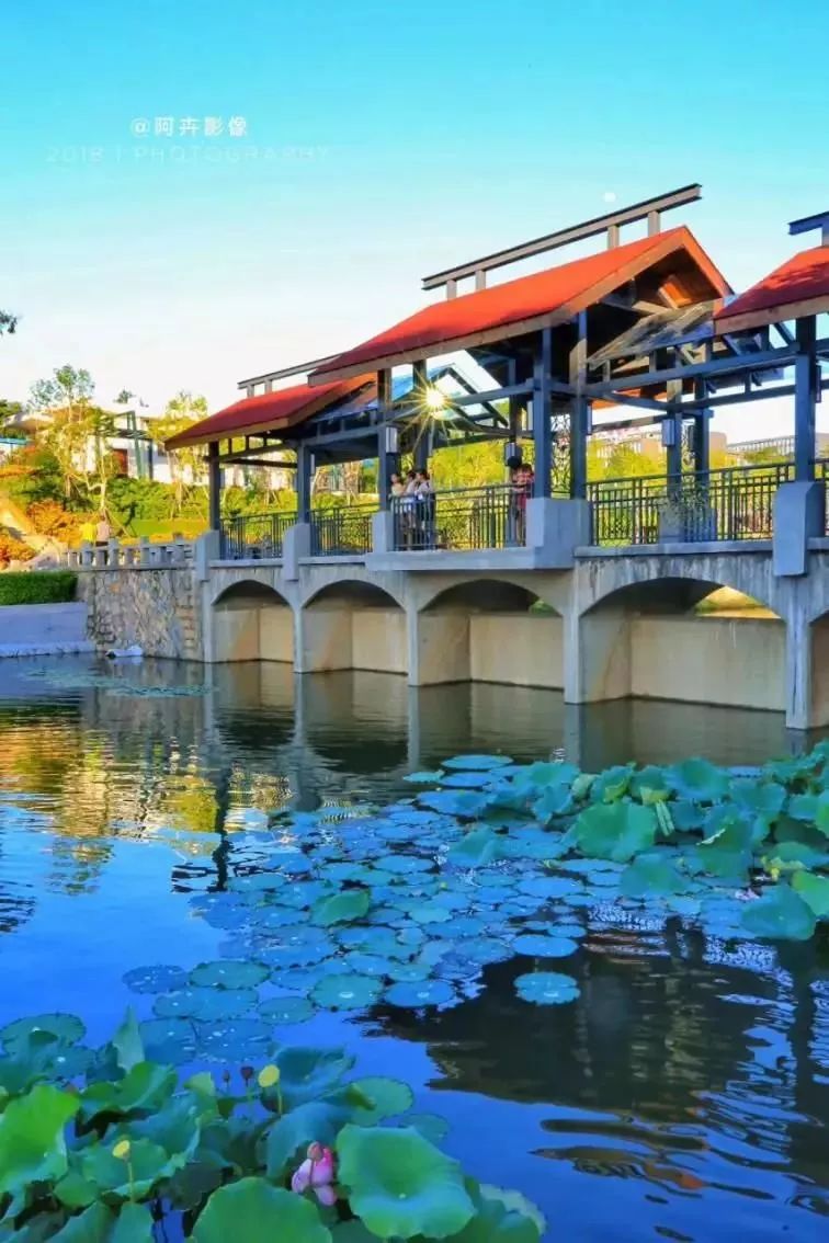 推行河(湖)长制后 五缘湾更加迷人,"厦门绿肺"更加清新 湖边水库水清