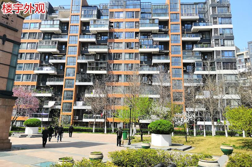 合肥市高新区香樟大道与望江西路交口澜溪镇花园3幢705室拍品二:拍品