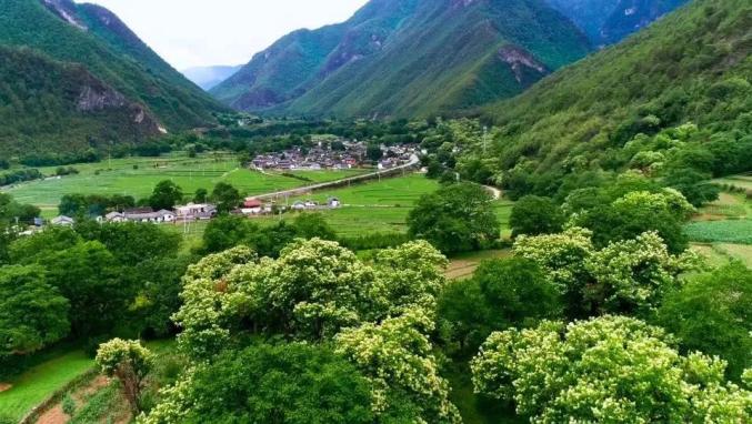 迪庆2019年GDP_迪庆地图