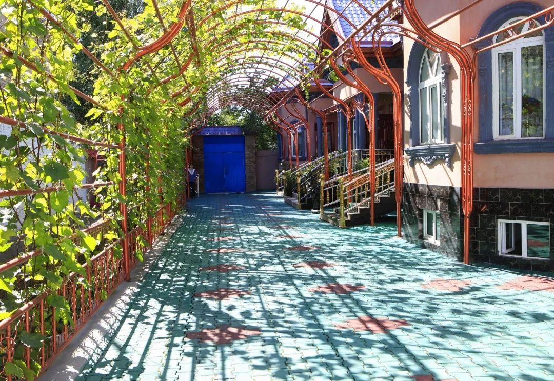 新疆美丽庭院示范典型伊宁市都来提巴格街道