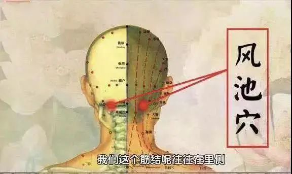 落枕了脖子是该多动还是不动