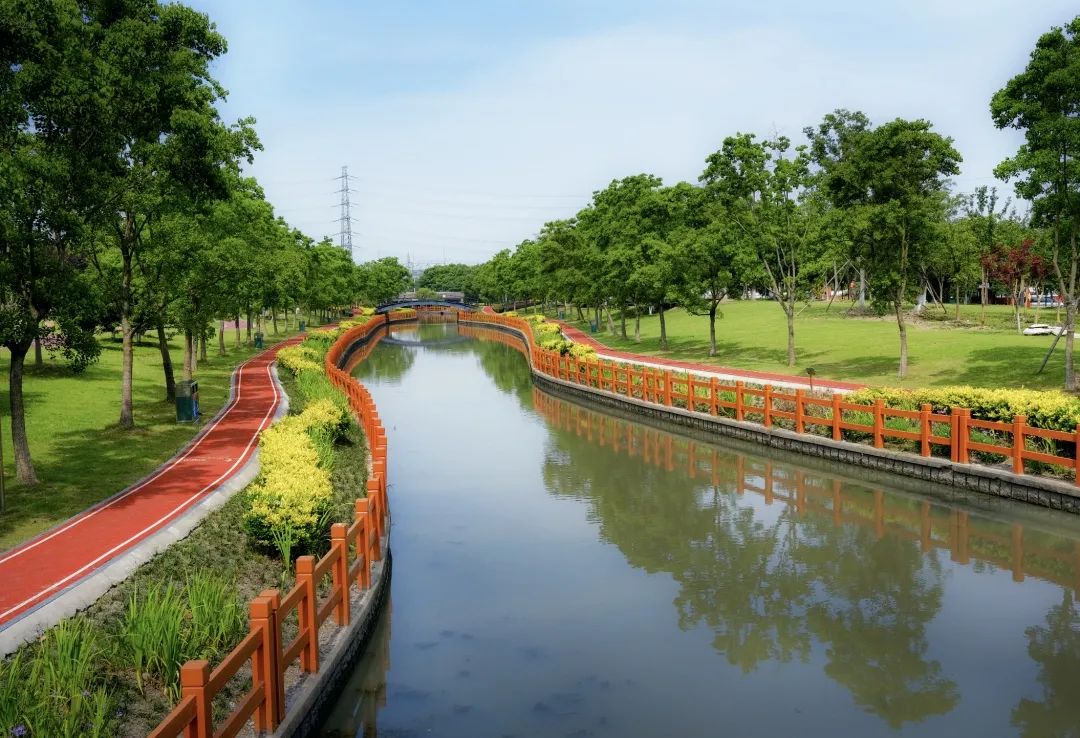 区动态松江九亭水世界原来这么美