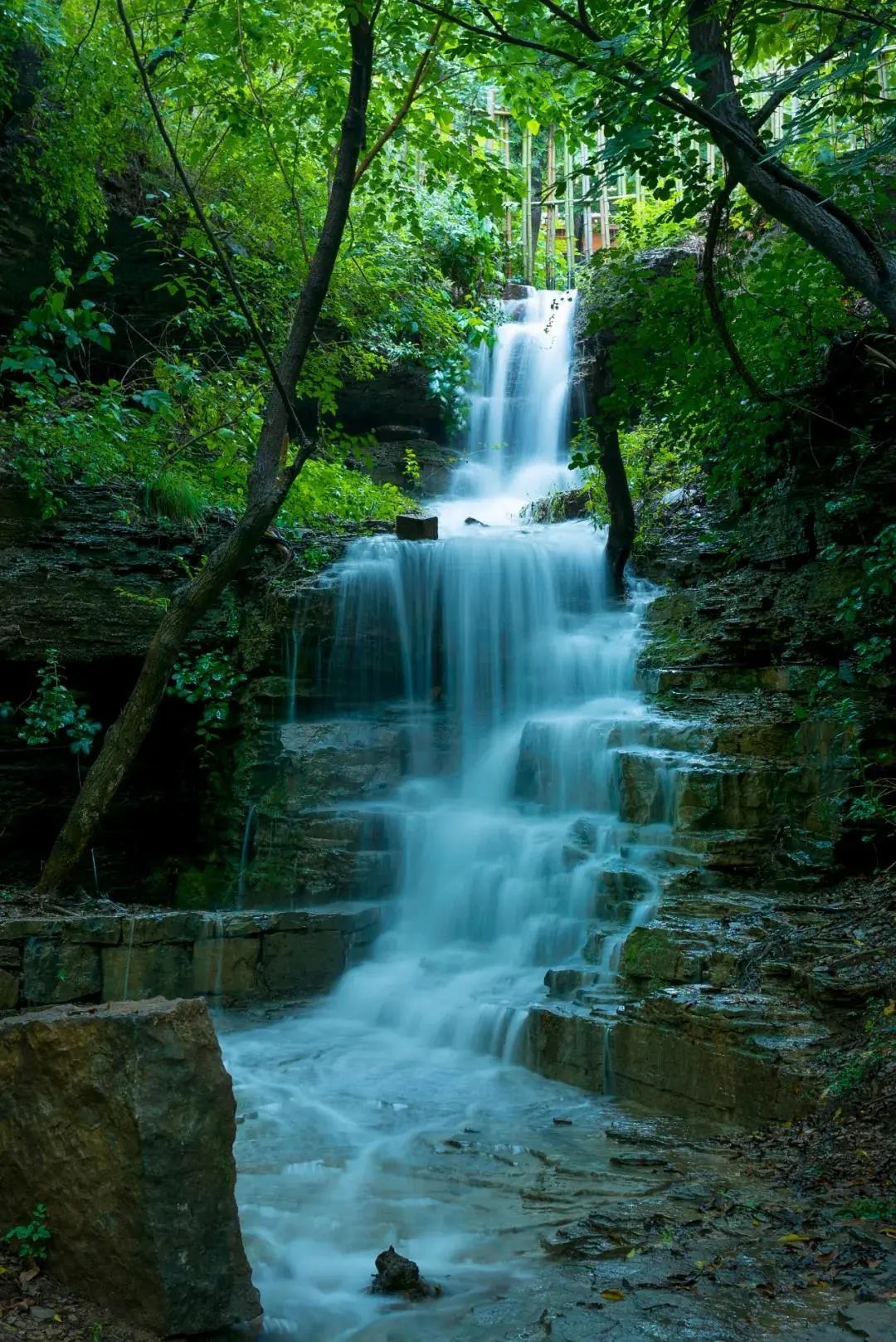 压油沟景区图片苍山图片