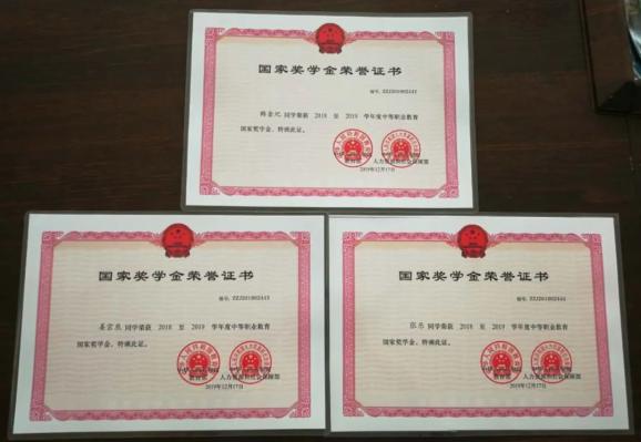 攀登奖学金什么级别,攀登奖学金什么级别可以拿