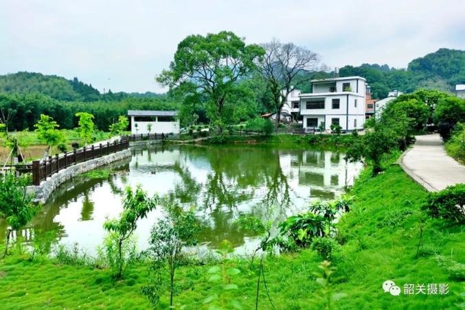 綠色山村》 作者陳繼良 拍攝於仁化黃思寧村《鄉村晨曦》 作者肖春華