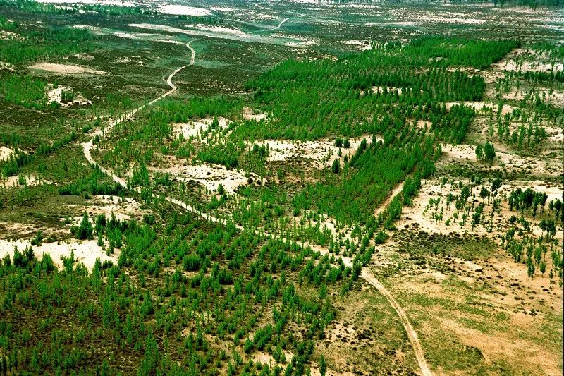 这些地方正在慢慢消失