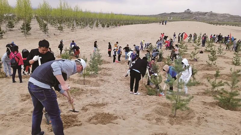 宁夏人口基数_宁夏回族人口分布(3)