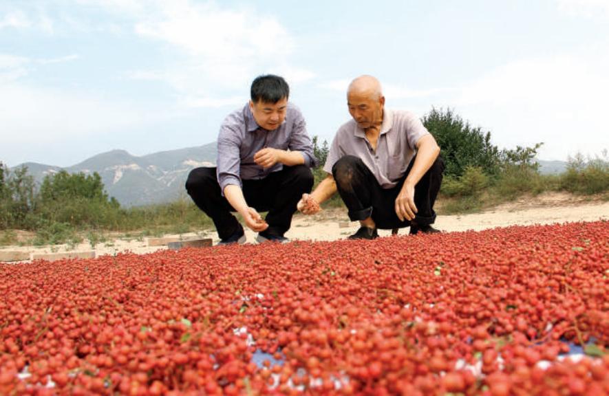 【亮点】集团老总化身扶贫专员