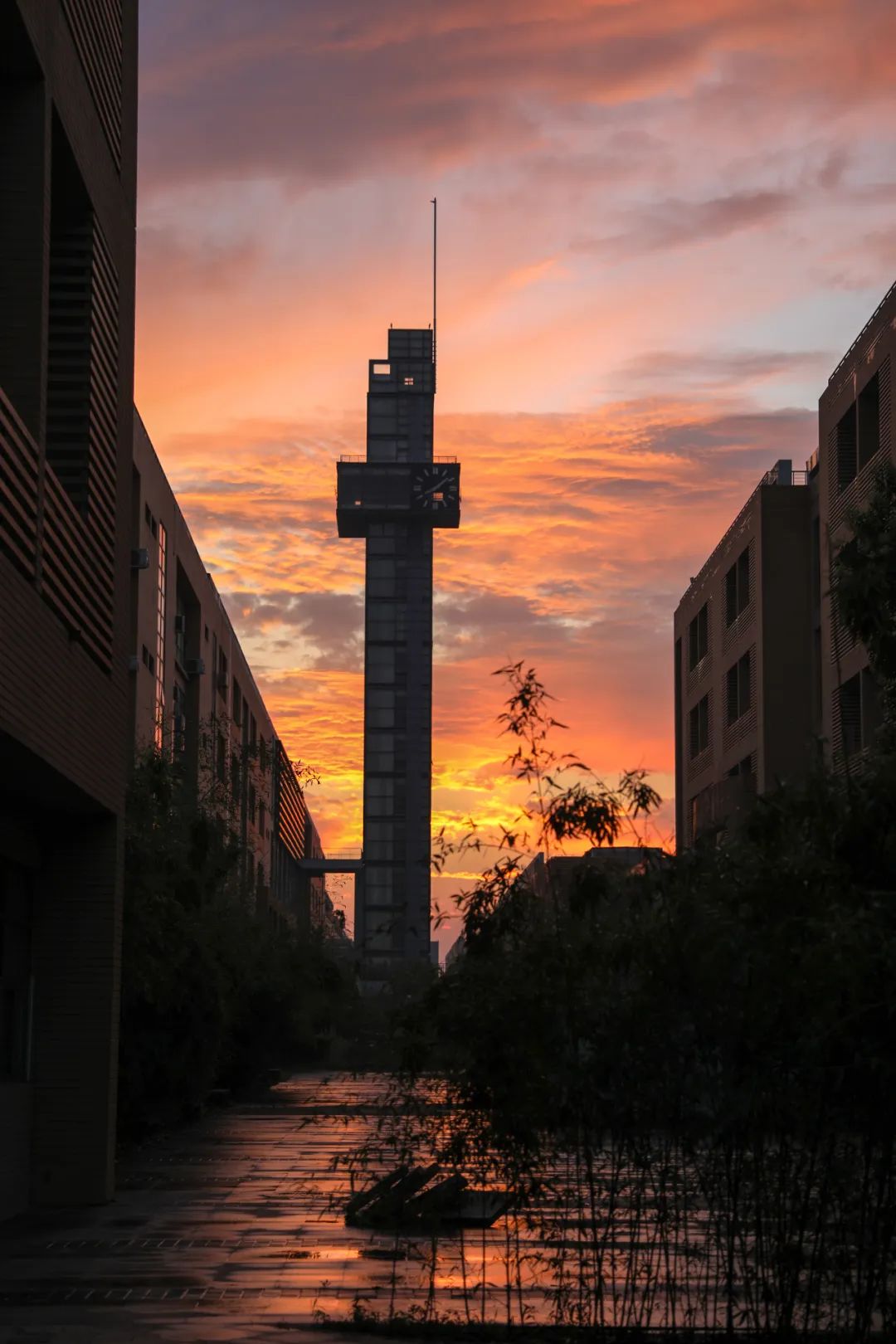 暴雨后的西电,真好看!