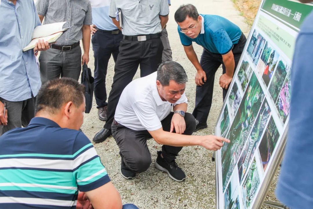 伍培进调研龙舟山森林公园规划建设工作,推动公园建设品质提升