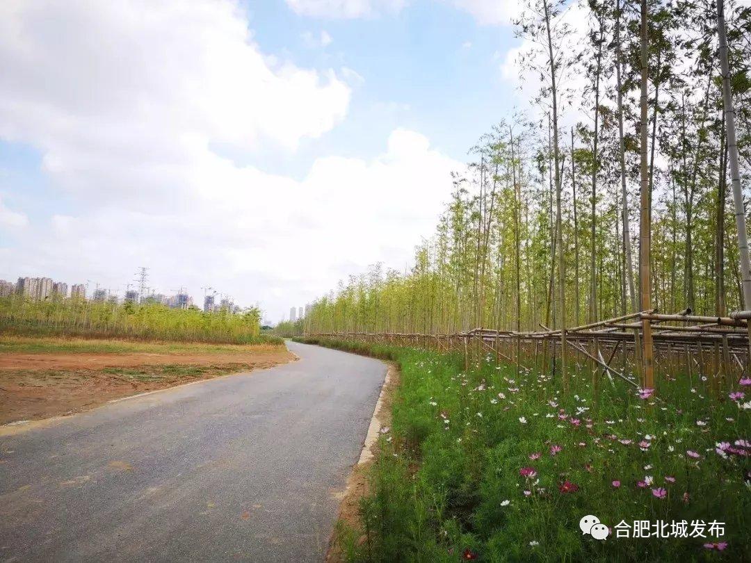 总面积约500亩北城竹海三期最新进展来了