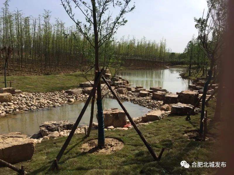 总面积约500亩北城竹海三期最新进展来了