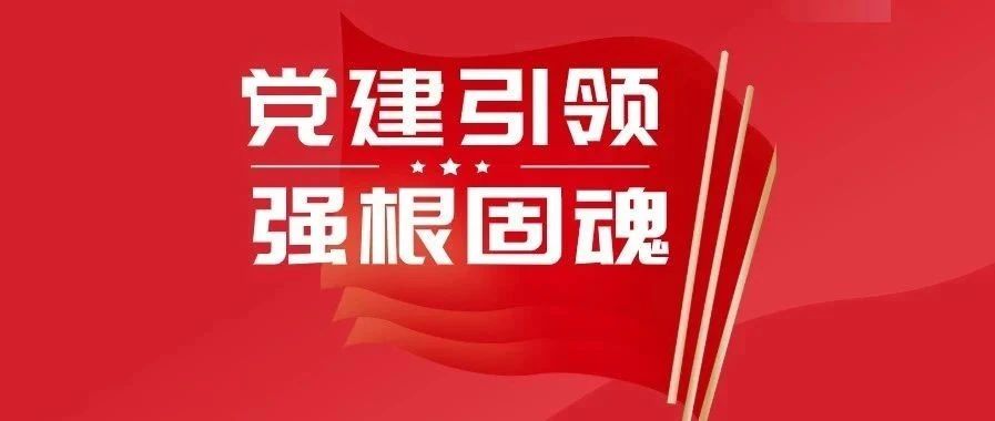 广州国企恪守姓党政治基因党建引领强根固魂