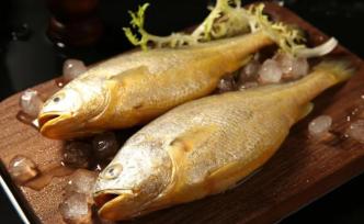 你確定買到的是真黃魚嗎？