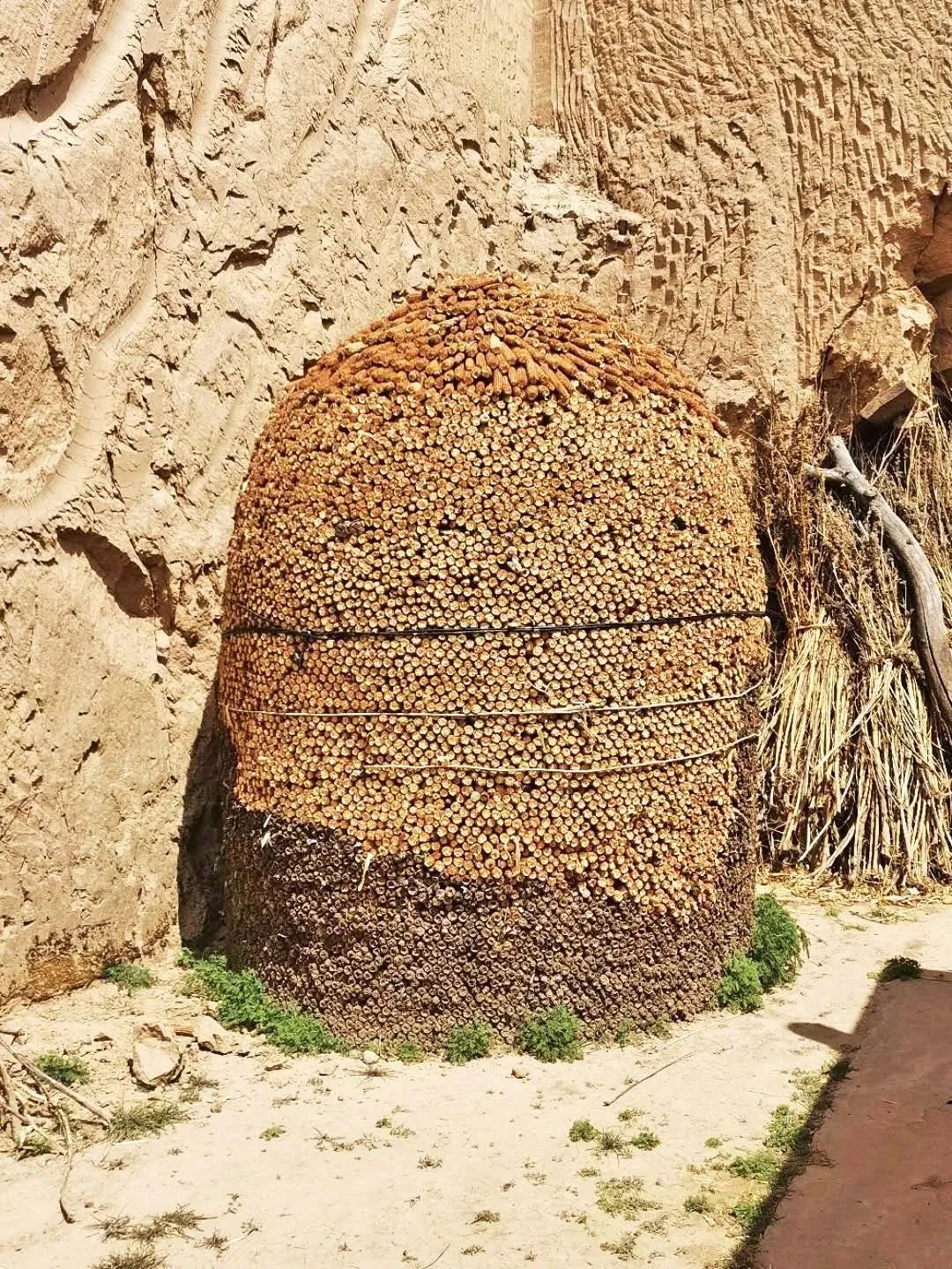 庆阳农村柴草垛里看乡愁,更有农耕文明智慧的传承