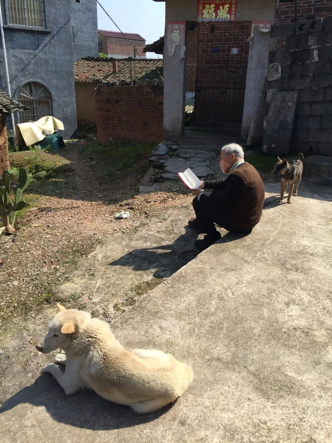 统计文化丨父爱如山 总有一个故事让你泪流满面 政务 澎湃新闻 The Paper