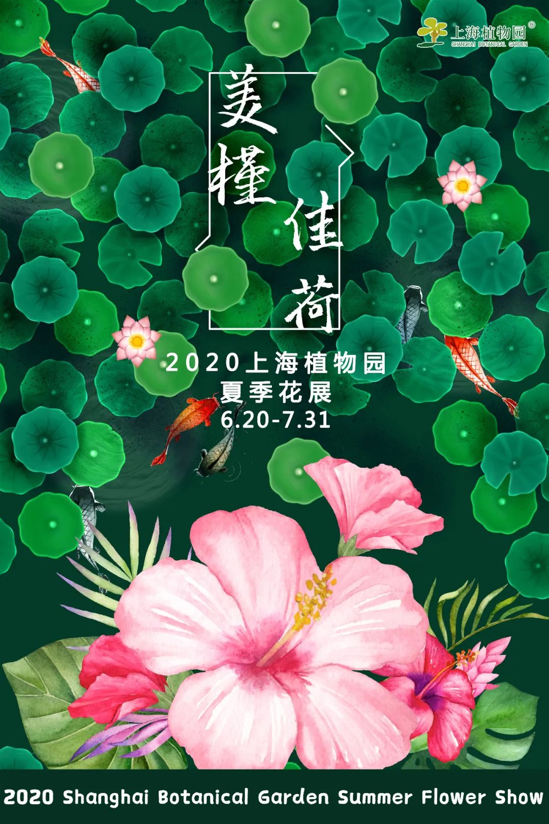 上海植物园夏季花展 上新 花烛和睡莲邀你共赴一场夏季之约