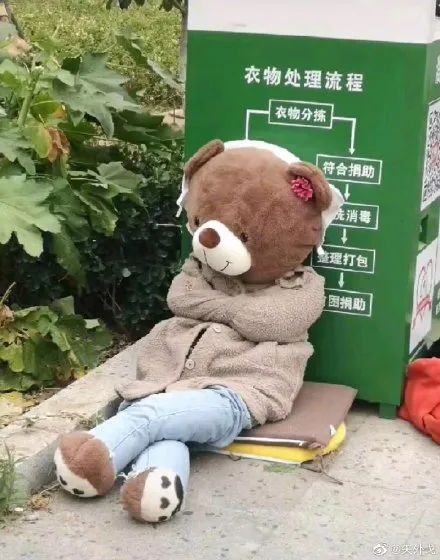 高小微医学院被遗弃的小熊上热搜没想到背后的故事这么暖