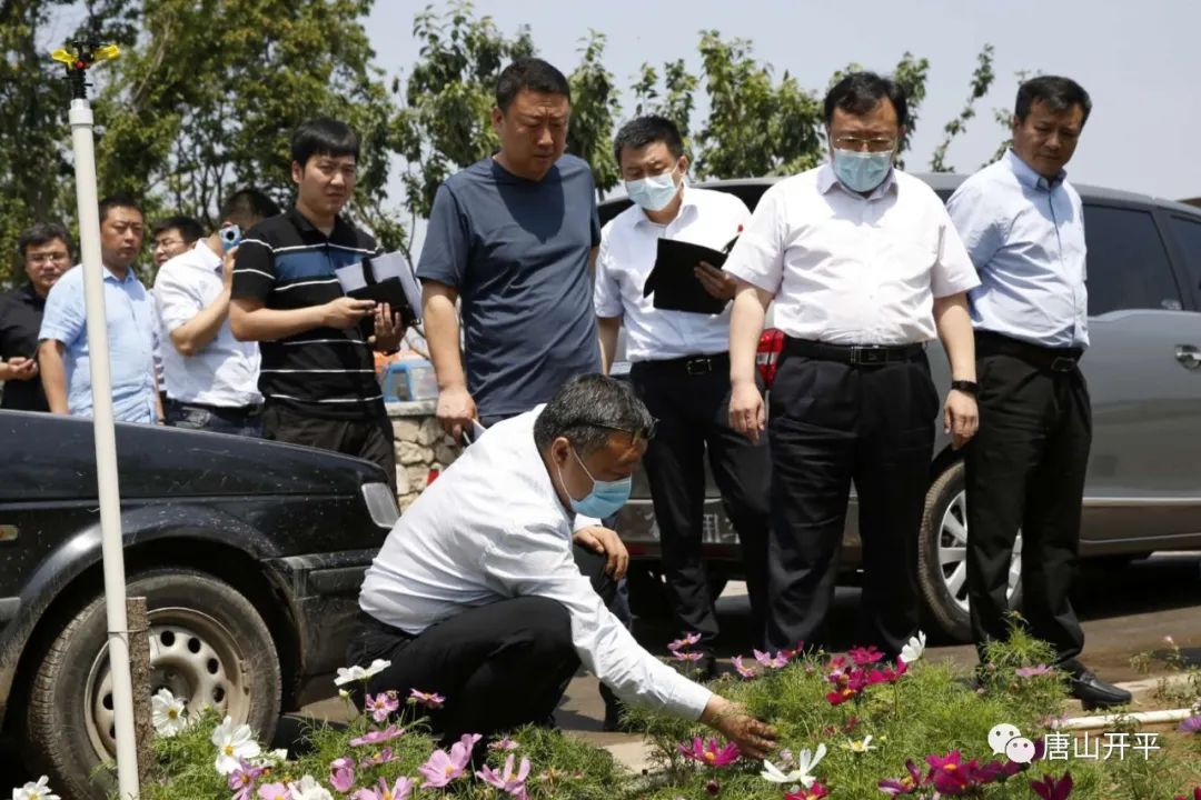 开平市领导付振波一行赴唐山花海项目现场调研