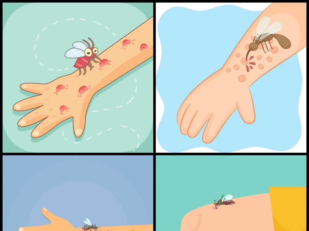 蚊子咬人卡通图片图片