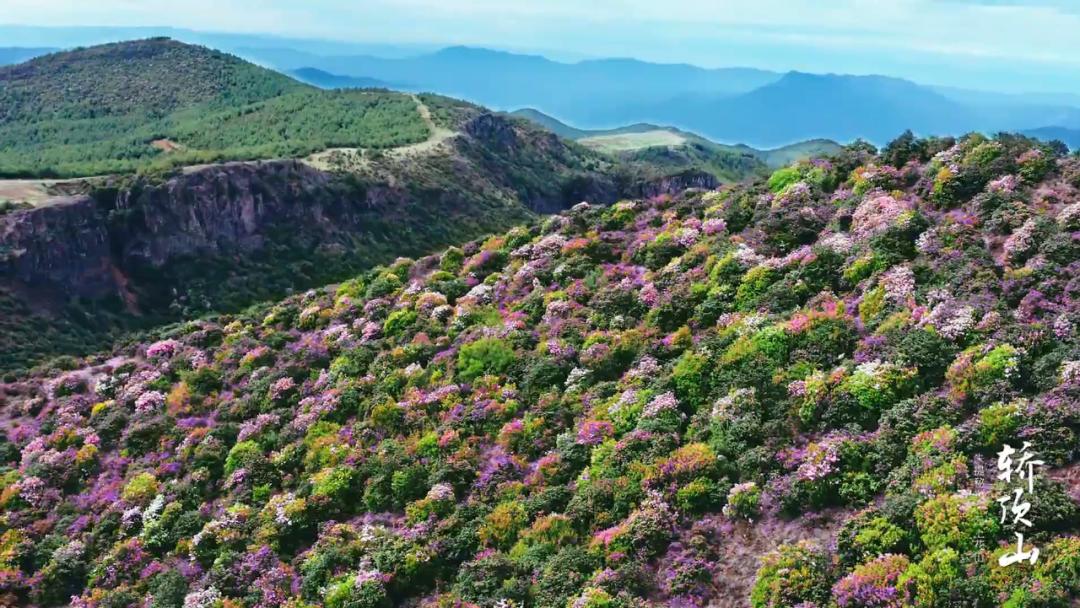 昭通轿顶山图片