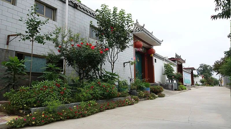 美丽庭院正定模式留住乡愁来这里感受村庄美的独有韵味