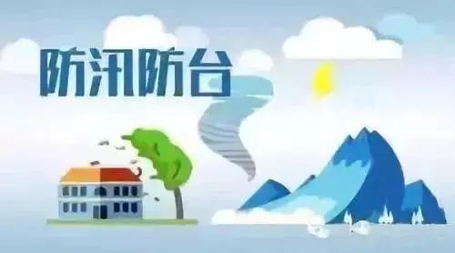 上海民防拍了拍你防汛防台我们准备好啦