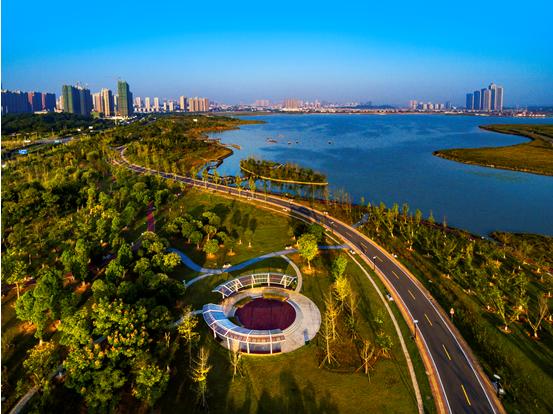 陪他在松雅湖国家湿地公园里快走流汗陪父亲出来走走,锻炼身体少睡一