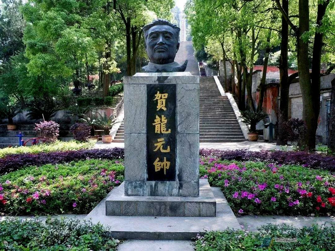 段德昌,贺英等长眠地——满山红烈士陵园忠堡大捷烈士陵园一棵老树,一