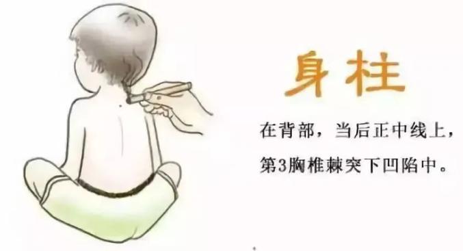 身柱穴属督脉,灸身柱可强身除病,有通阳理气,补益肺气,止咳平喘,促进