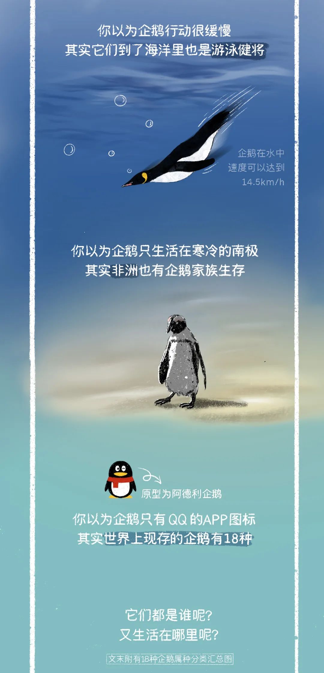 企鹅,鹅,鹅,鹅,鹅,鹅