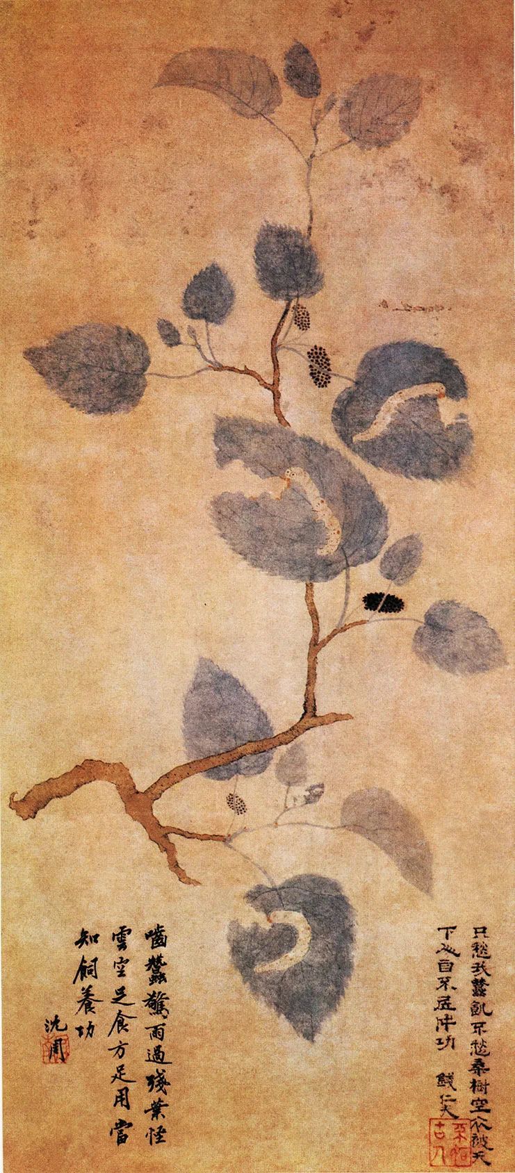 桑葚黄栗留鸣桑葚美紫樱桃熟麦风凉