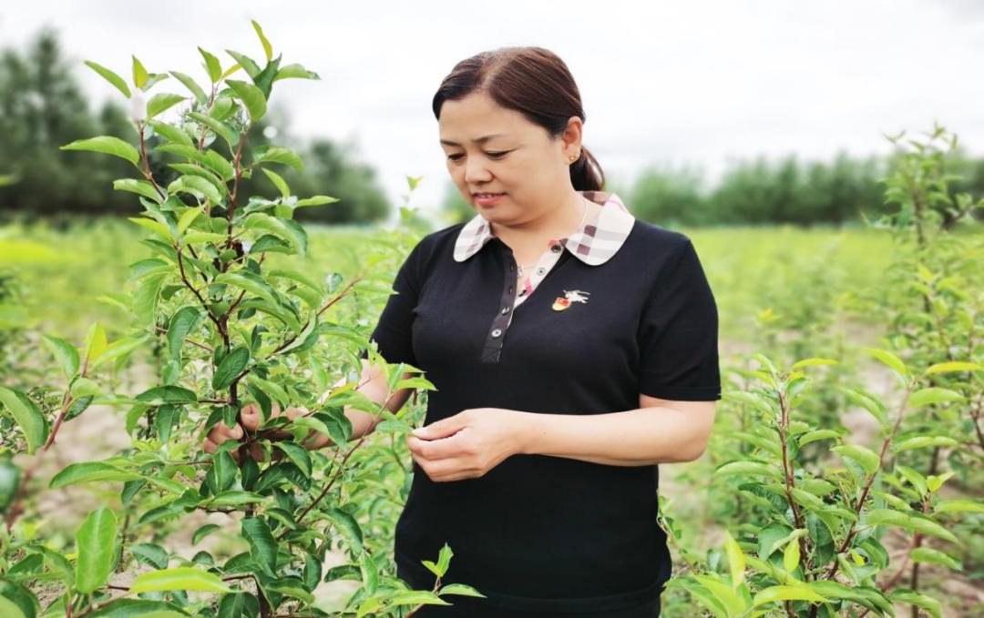 脱贫攻坚用蒙古马精神打赢脱贫攻坚战科左中旗保康镇带头人奋力闯出新