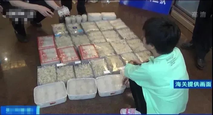 ，经查证犯罪团伙先后走私燕窝536吨，案值约人民币60亿元。（央视财经）