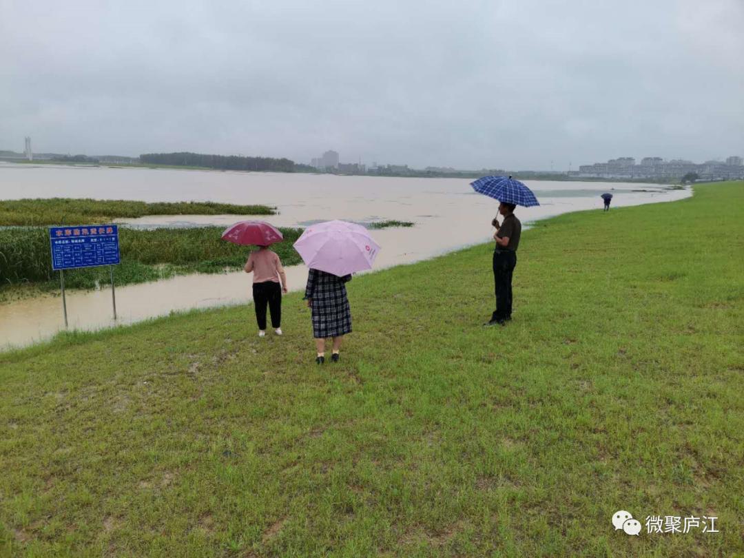 廬江今年首次啟動城市防洪三級響應全縣上下眾志成城共渡汛關