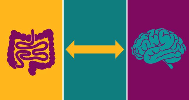 原创 goop 阿尔茨海默病