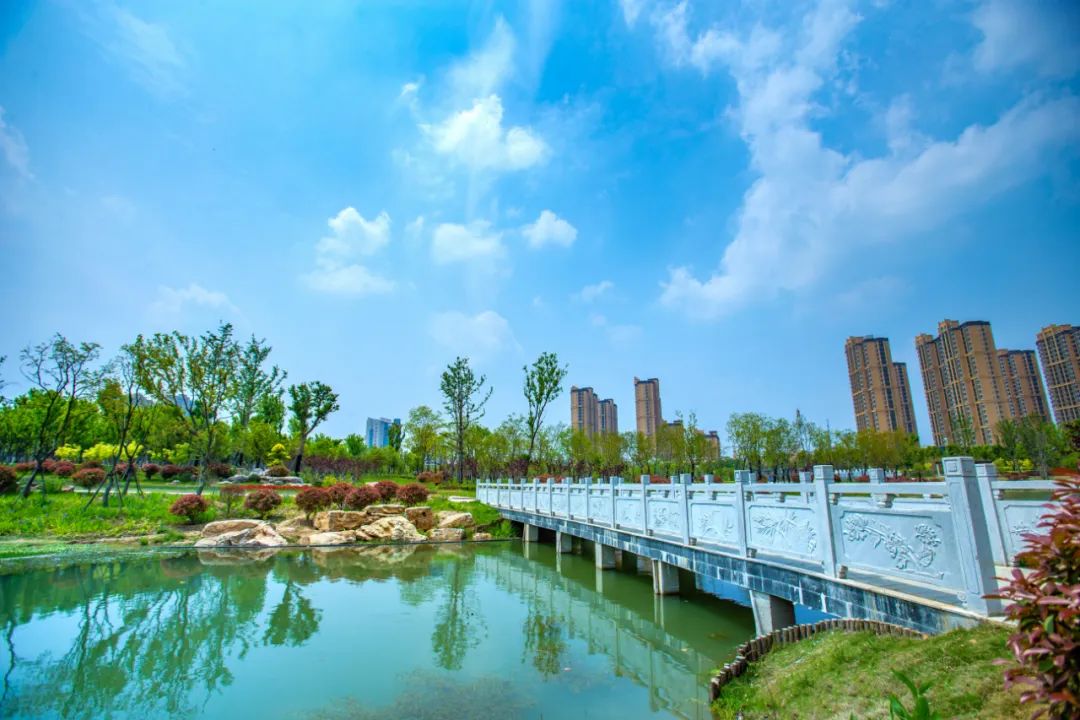阜阳又一大型公园开放了_澎湃号·政务_澎湃新闻-the paper